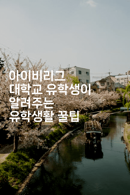 아이비리그 대학교 유학생이 알려주는 유학생활 꿀팁-어니버스