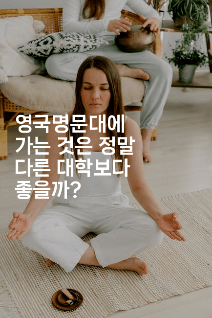 영국명문대에 가는 것은 정말 다른 대학보다 좋을까?2-어니버스