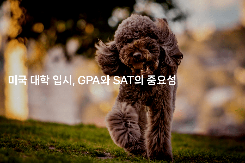 미국 대학 입시, GPA와 SAT의 중요성