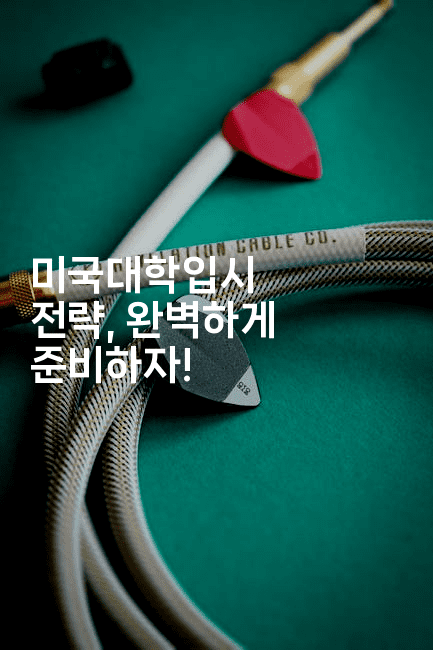 미국대학입시 전략, 완벽하게 준비하자! 2-어니버스