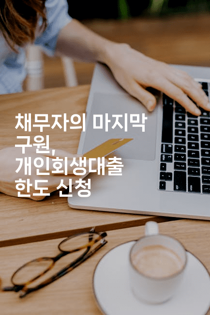 채무자의 마지막 구원, 개인회생대출 한도 신청