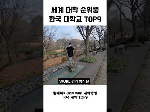 전세계 대학중 한국 대학교 순위 ? 국내대학 TOP9