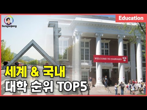 세계 · 국내 대학 순위 TOP 5