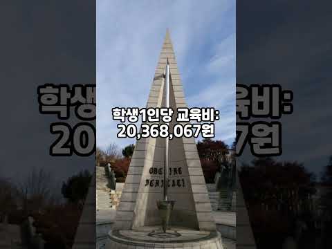 국내 대학 재정 능력 지표 학생 1인당 교육비 순위 TOP 10 (2023년) #대학 #대학교 #순위 #university #랭킹 #shorts #서울대 #연세대 #고려대