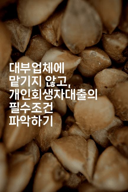 대부업체에 맡기지 않고, 개인회생자대출의 필수조건 파악하기-어니버스