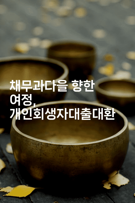 채무과다을 향한 여정, 개인회생자대출대환-어니버스