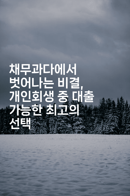 채무과다에서 벗어나는 비결, 개인회생 중 대출 가능한 최고의 선택-어니버스